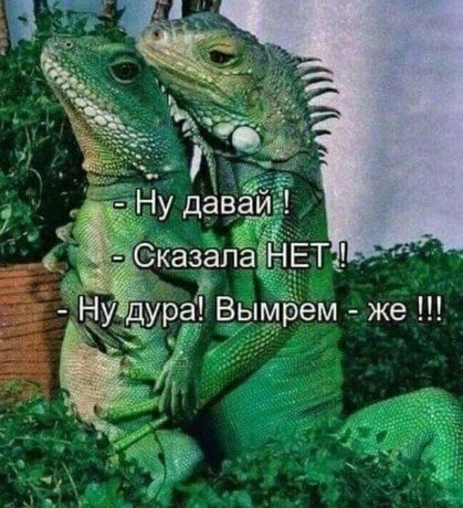 к _ р Вым м же