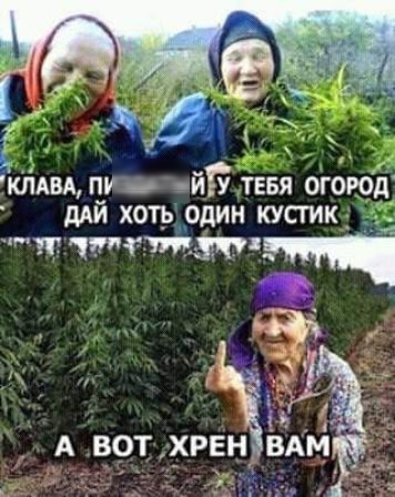 клдвд пп йГ тввя огою ддй хоть рдин кустик чттйтпщ
