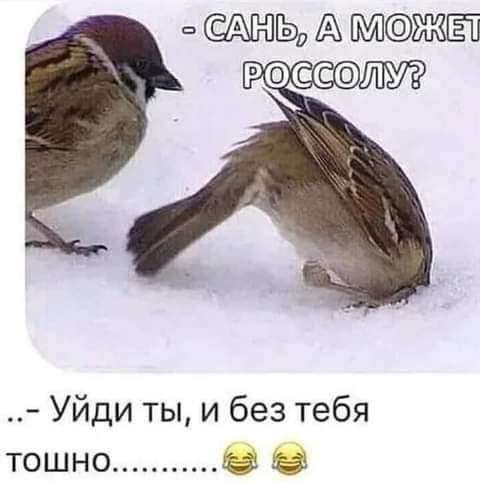 А ЖЁЁ РФС ЙМ Уйди ты и без тебя тошно