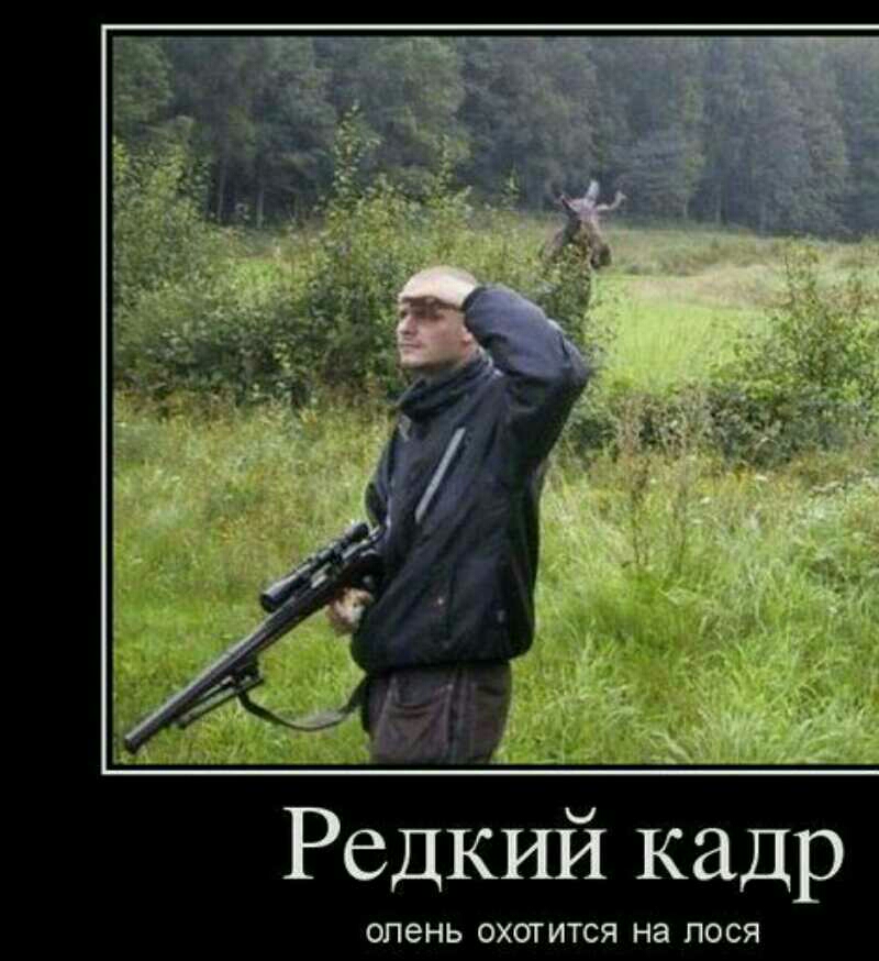 Редкий кадр ОПЭНЬ ОХОТИТСЯ НЗ ПОСЯ
