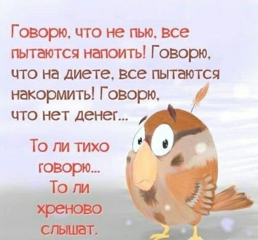 Говорю что не гью все гъгтаются напоить Говорю что на диете все пытаются накормить Говорю что нет денег То ги тихо говорю То ги