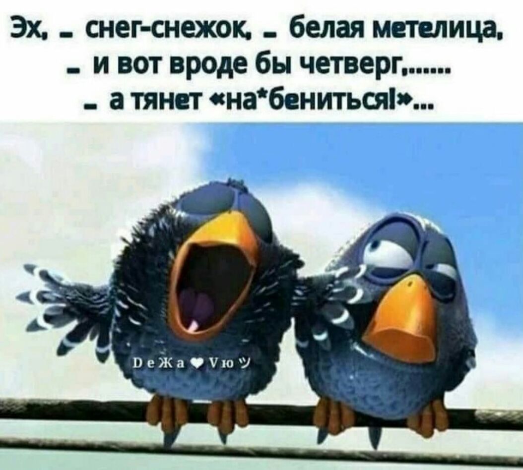 Эх снег снежок белая метелица и вот вроде бы четверг а тянет набенитьсяі _ ВеЖаОУюУ