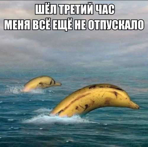 ШЁ