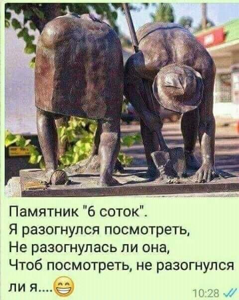 Памятник 6 соток Я разогнулся посмотреть Не разогнулась ли она Чтоб посмотреть не разогнулся ЛИ Я И