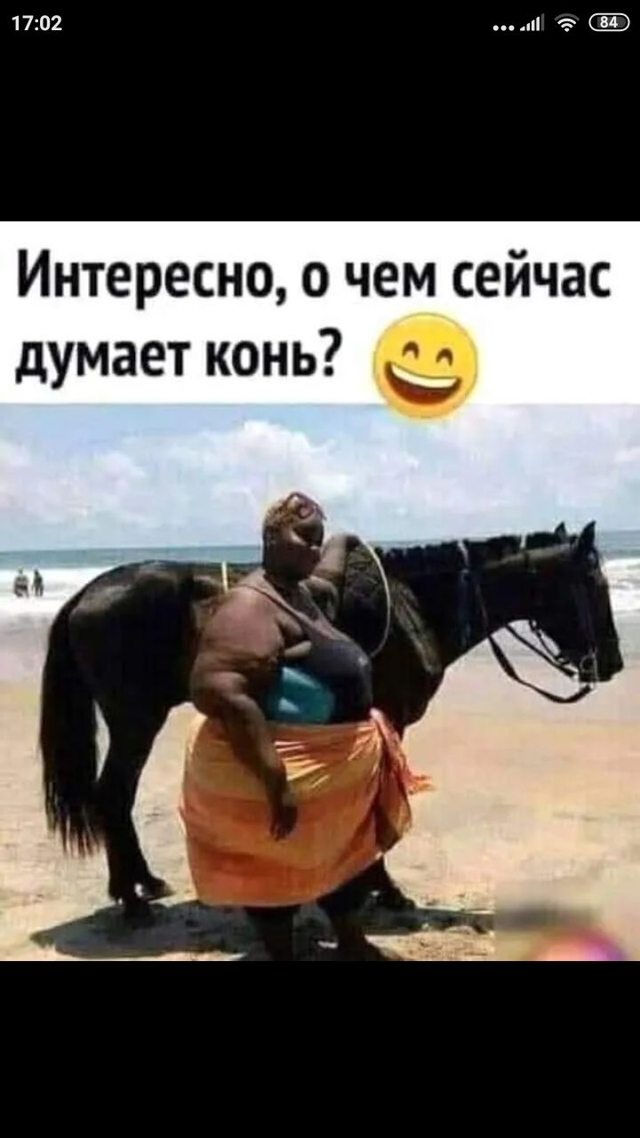 1702 Интересно о чем сейчас думает конь