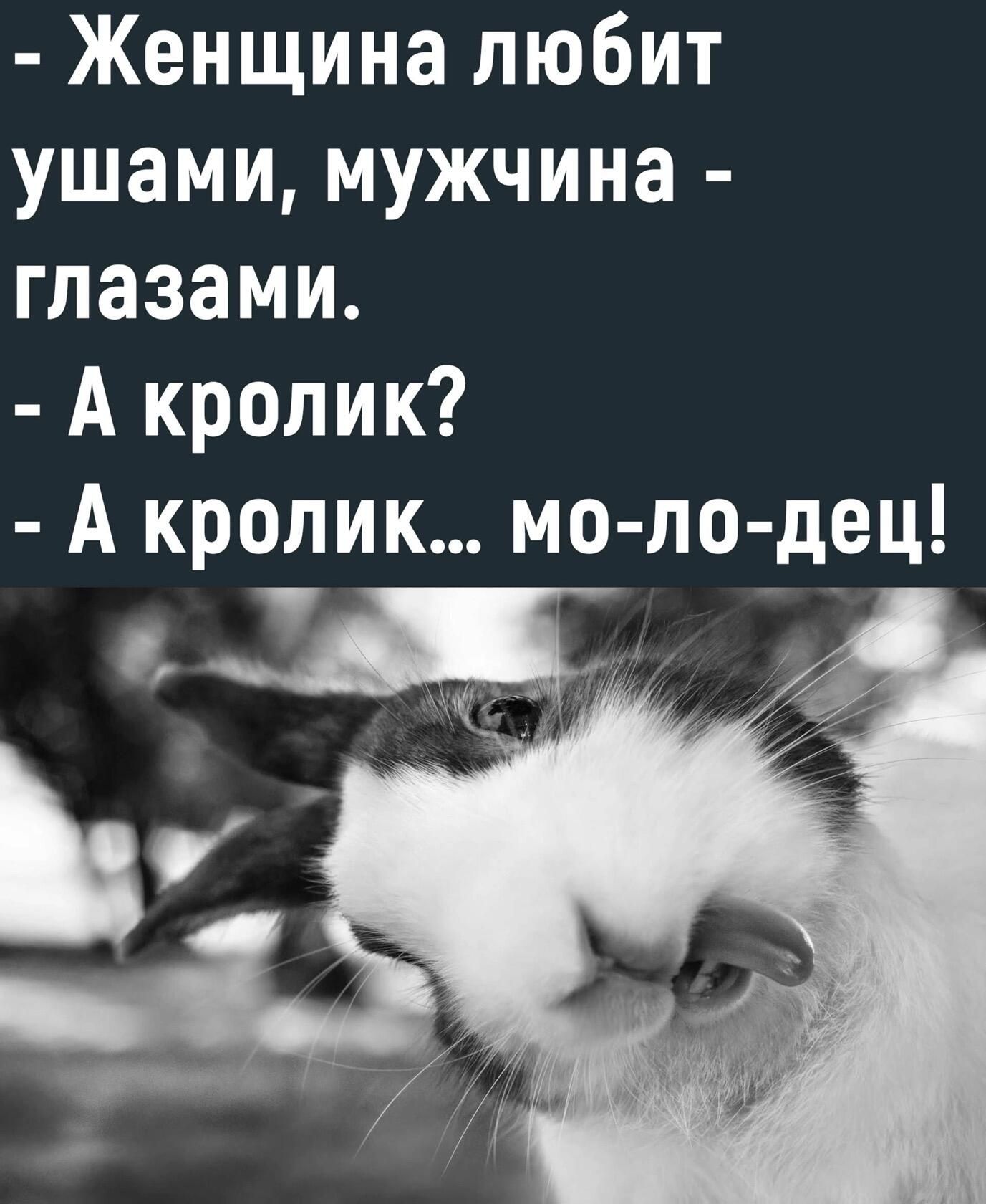 Женщина любит ушами мужчина глазами А кролик А кролик мо ло дец у