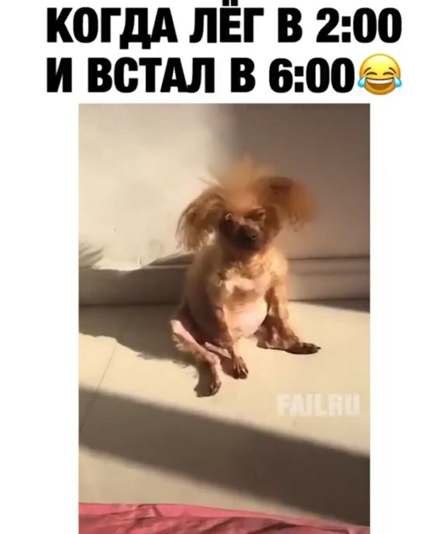 К0ГдА ЛЁГ В 200 И ВВТАЛ В 60043
