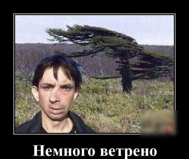 Немного ветрено