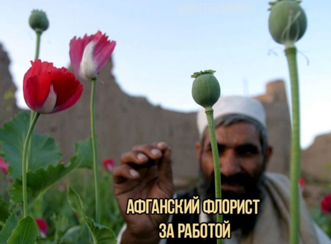 дШГдНБНИИ ШЛВРИЁТ ЭД РДБВТПИ