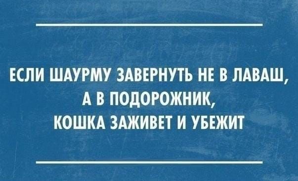 ЕСЛИ ШАУРМУ ЗАВЕРНУТЬ НЕ В ЛАВАШ А В ПОДОРОЖНИК КОШКА ЗАЖИВЕТ И УБЕЖИТ