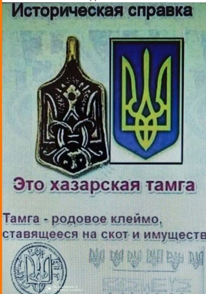 Историческая справка Это хазарская тамга Тамга родовое клеймо ставящееся на скот и имуществ