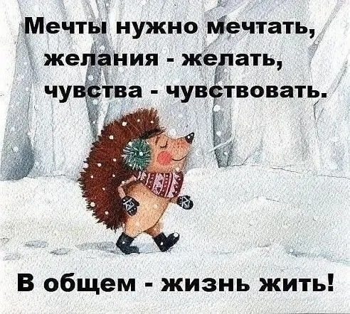 Мечты нужно Мечтать Ёже Ния жегдать ЧУЁ В общем жизнь жить