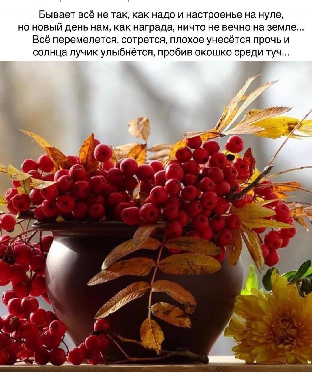 Бывает всё не так как надо и настроенье на нуле но новый день нам как награда ничто не вечно на земле Всё перемелется сотрется плохое унесётся прочь и солнца лучик ул ыбнётся пробив окошко среди туч