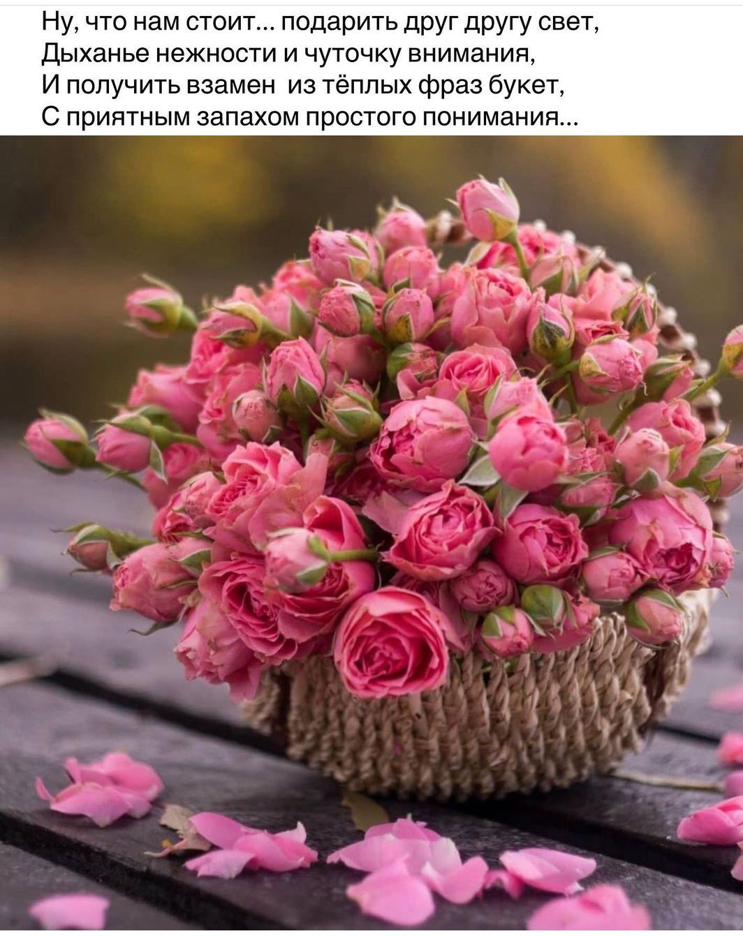 Ну что нам стоит подарить друг другу свет Дыханье нежности и чуточку внимания И получить взамен из тёплых фраз букет С приятным запахом простого понимания