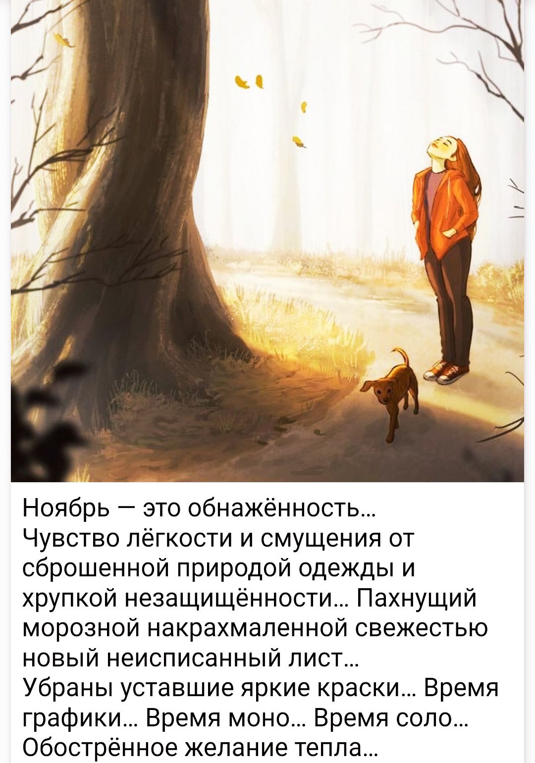 Ноябрь это обнажённость Чувство лёгкости и смущения от сброшенной природой одежды и хрупкой незащищенности Пахнущий морозной накрахмаленной свежестью новый неисписанный лист Убраны уставшие яркие краски Время графики Время моно Время соло Обострённое желание тепла