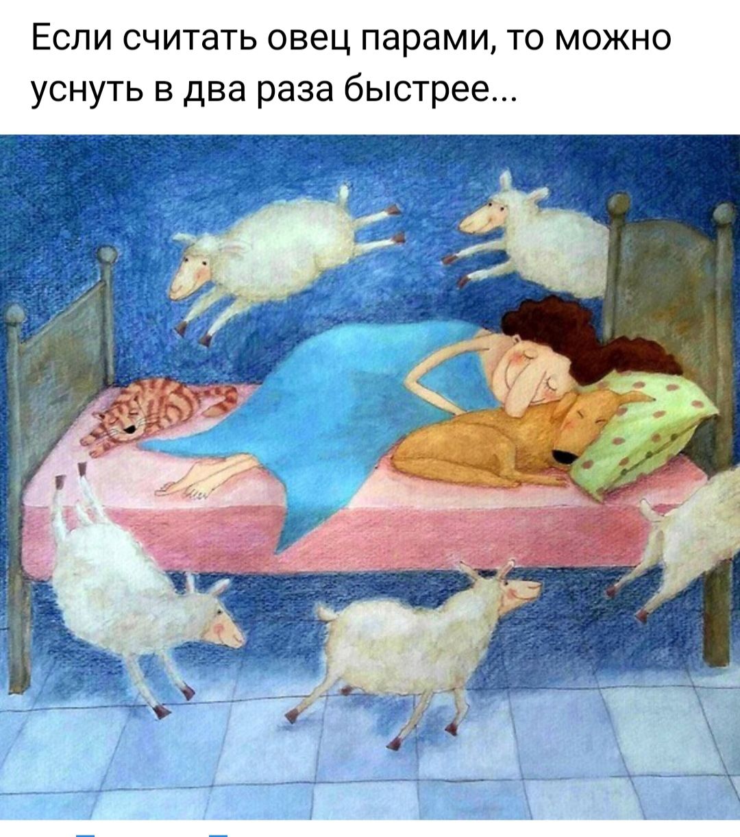 Если считать овец парами то можно уснуть в два раза быстрее