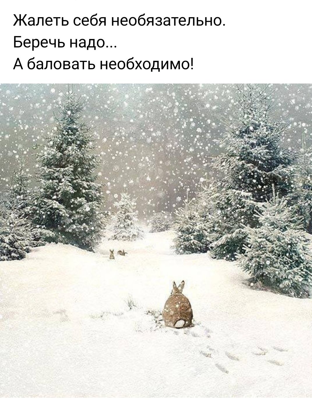 Жалеть себя необязательно Беречь надо А баловать необходимо