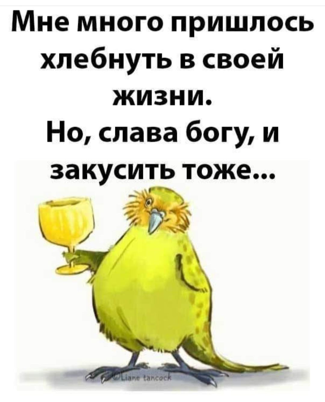 Мне много пришлось хлебнуть в своей жизни Но слава богу и закусить тоже