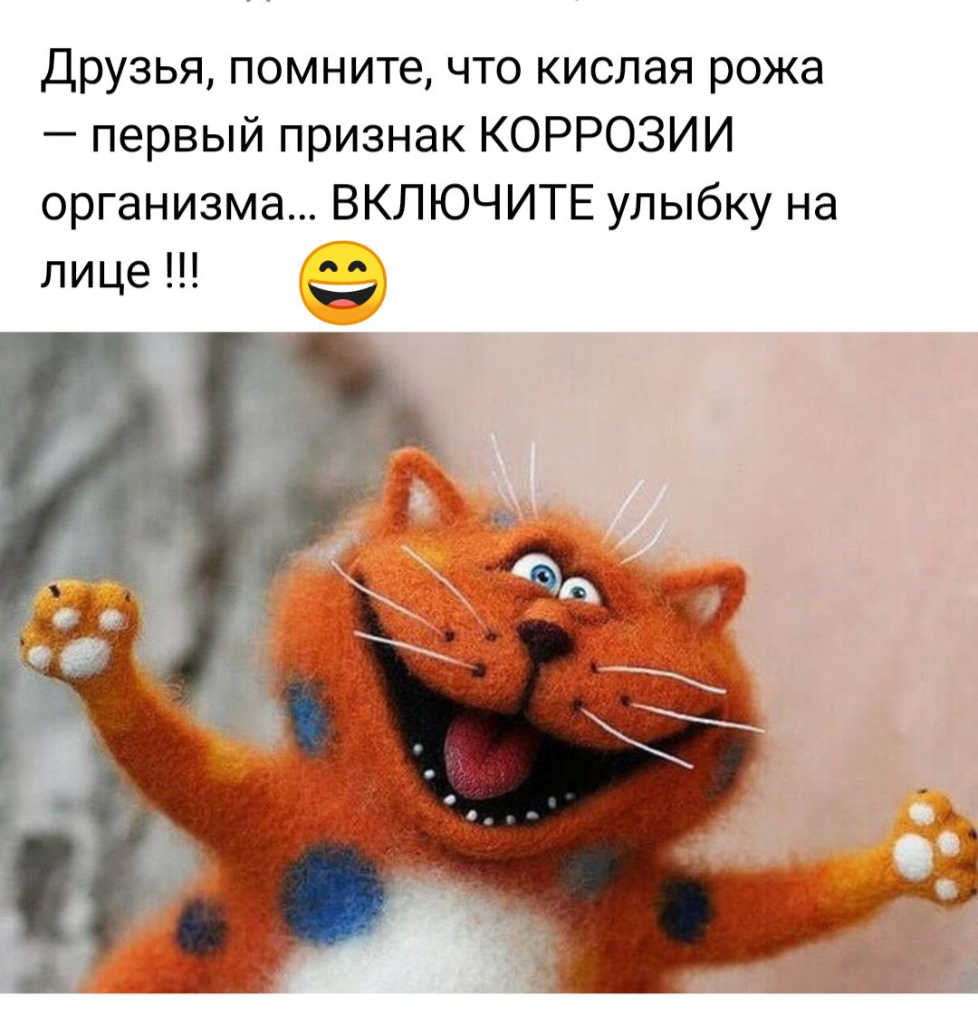 Друзья помните что кислая рожа первый признак КОРРОЗИИ организма ВКЛЮЧИТЕ улыбку на ш лице