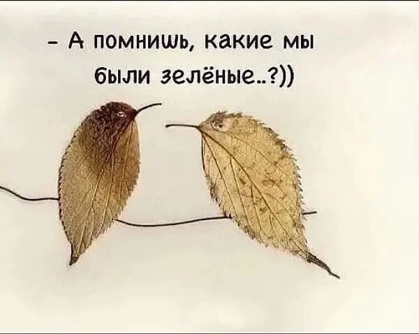 А помнишь какие мы были эелёныел