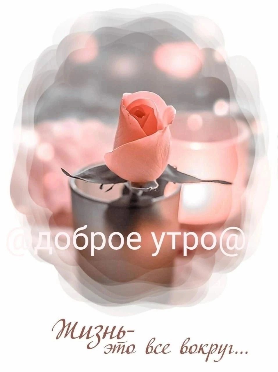 доброе утро Жизнь- это все вокруг...