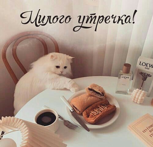 Цилого утречка!