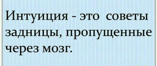 Интуиция это советы задницы пропущенные через МОЗГ