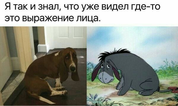 Я так И ЗНЭЛ ЧТО уже видел гдето ЭТО Выражение ЛИЦЭ