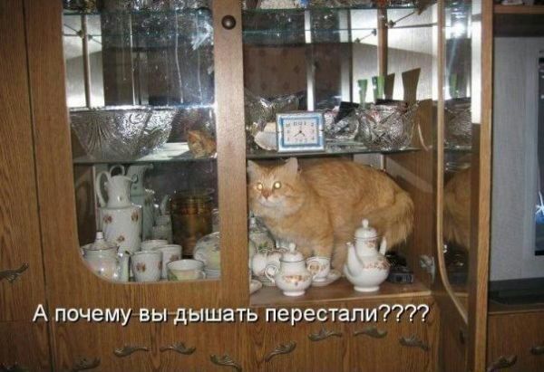 _ А почему вьх дігішвтдперестапитг