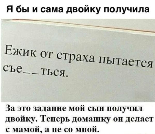 Я бы и сама двойку получила За что шдапие мой сын получил двойку Теперь ломашку он делает с мамой а не со мной