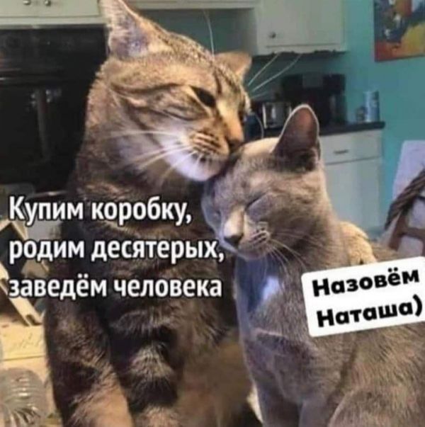 Купим коробку _ р__ им десятерых Ёзаведём челбвека