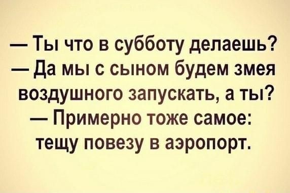 Ты что в субботу делаешь Да мыс сыном будем змея воздушного запускать а ты Примерно тоже самое тещу повезу в аэропорт