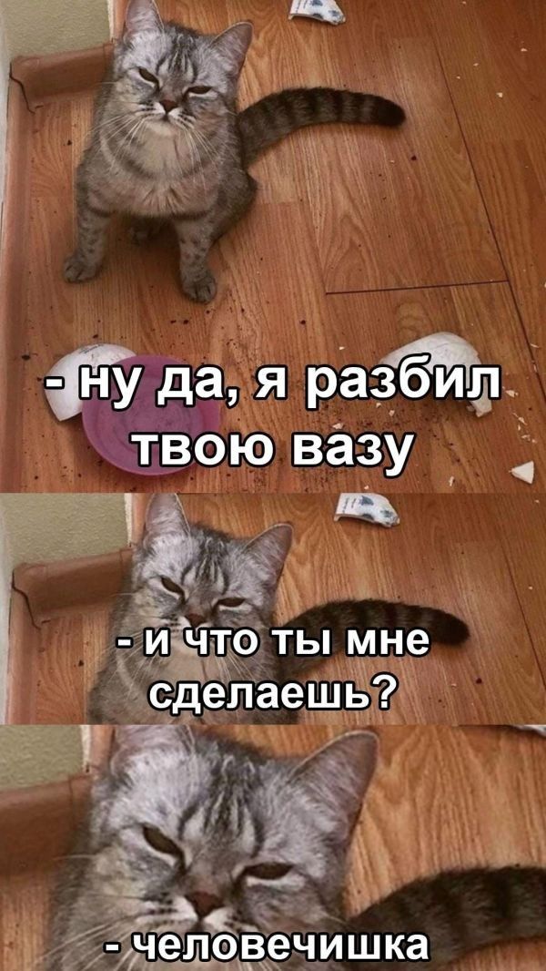 ЁБЁЪКЪЗ ну да Я рад твою вазу Ёйідд и что тым_не г изд ідіёіим