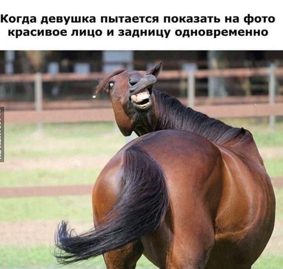 Когда девушка пытается показать на фото красивое лицо и задницу одновременно