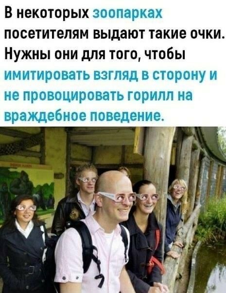 В НЕКОТОРЫХ зоопарках ПОСОТИТЕЛЯМ ВЫДЗЮТ ТЭКИВ ОЧКИ НУЖНЫ ОНИ дЛЯ тогочтобы ИМИТИРОВЁТЬ ВЗГЛЯД В сторону И не провоцировать горилл на вращебиое поведение