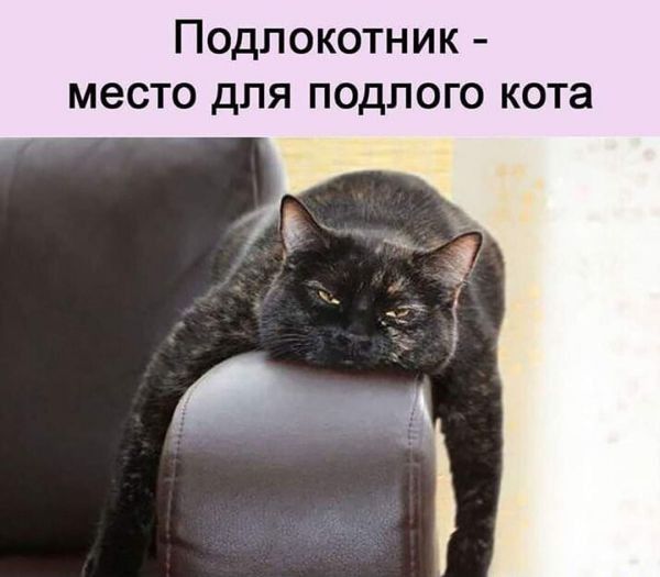 Подлокотник место для подлого кота