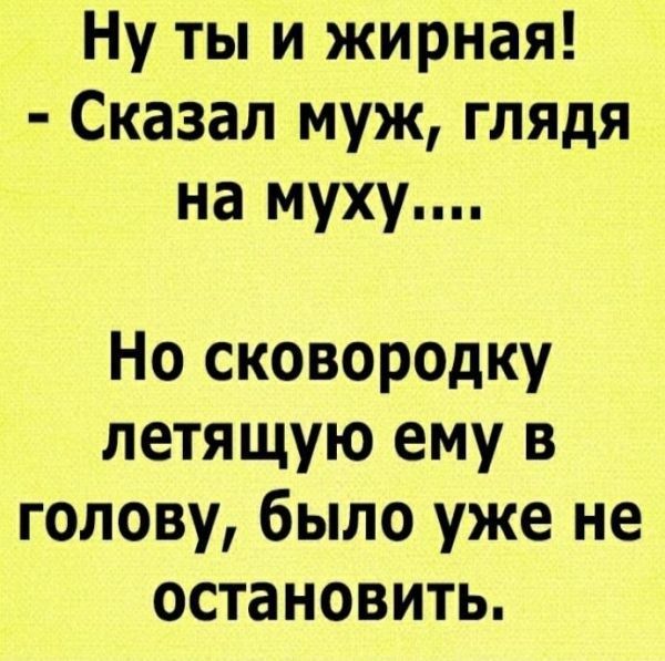 Ну ты и жирная Сказал муж глядя на муху Но сковородку летящую ему в голову было уже не остановить