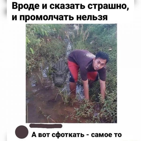 Вроде и оказать страшно и промолчать нельзя А вот сфоткать самое то