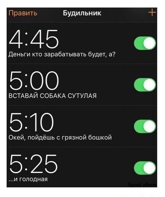 Править Будильник 445 ДеньГИ кто зарабатывать будет а 5100 ВСТАБАЙ СОБАКА СУТУПАЧ 5310 Окей ПСЙДЭШЬ грязной башкой 5325 и голодная