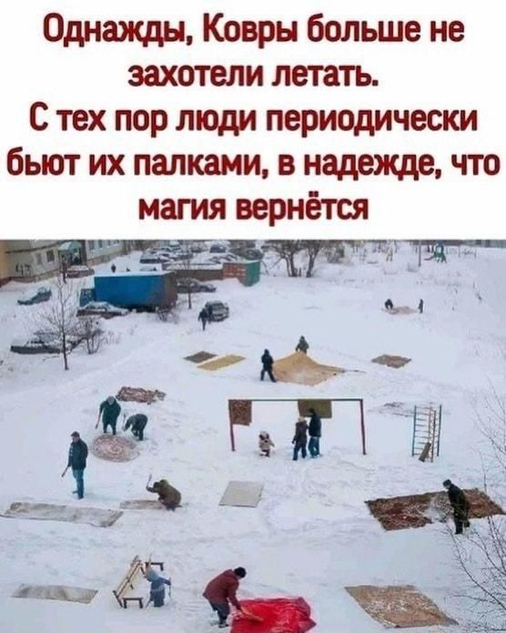 Однажды Ковры больше не захотели летать С тех пор люди периодически бьют их палками в надежде что