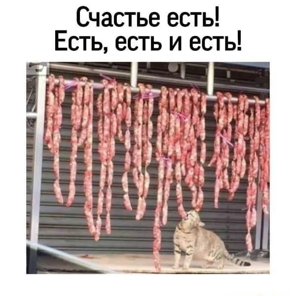 Счастье есть Есть есть и есть