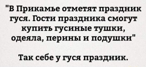 В Прикамье отметят праздник гуся 1Ьсти праздника смогут купить гусиные тушки одеяла перины и подушки Так себе у гуся праздник