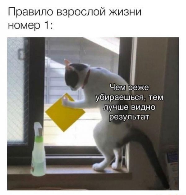 Правило взросп й жизни номер 1 Чем реже убирасшьсд тем лучше видно результат 31