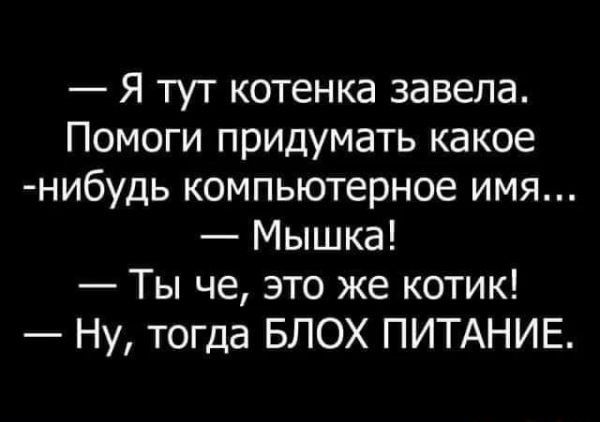 Я тут котенка завела Помоги придумать какое нибудь компьютерное имя Мышка Ты че это же котик Ну тогда БЛОХ ПИТАНИЕ