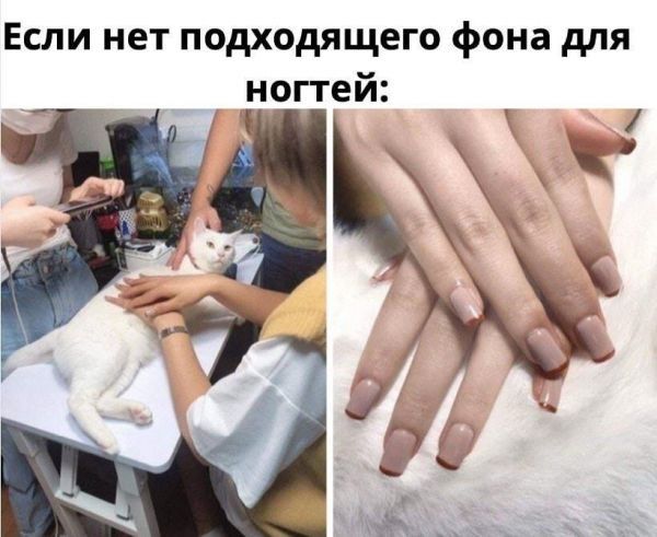 Если нет подходящего фона для