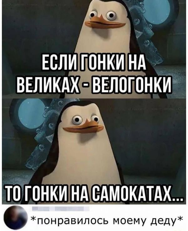 ЕСЛИ ГОНКИ НА ВЕЛИКАЖ і ВЕЛПГОНКИ ТЁТОНКИНА БАМОКАТАХ понравилось моему деду