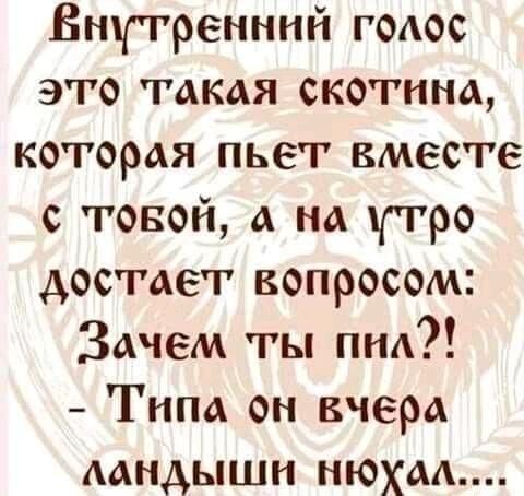 Внутренний гоаос это такая скотина которая пьет вместе с товой а на утро достает вопросом Зачем ты пнд Типа он вчера аандыши нюхал