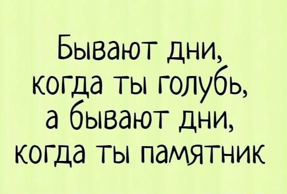 Бывают дни когда ты голубь а бывают дни когда ты памятник