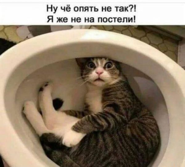 Ну чё опять не так Я же не на постели А _