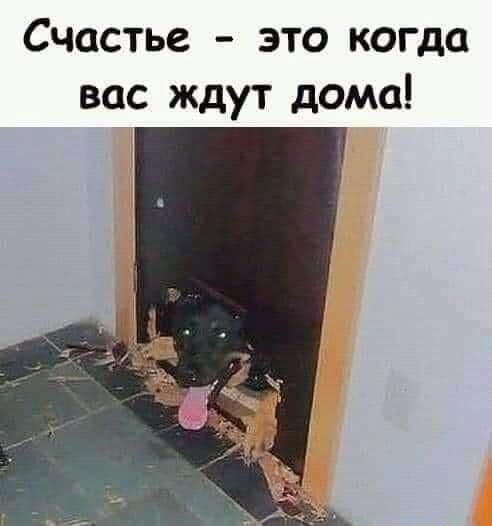 Счастье это когда вас ждут дома